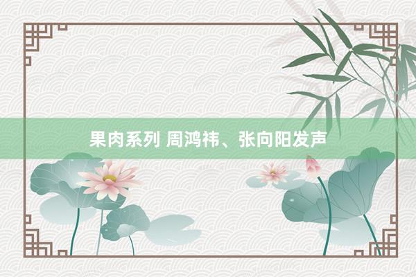 果肉系列 周鸿祎、张向阳发声