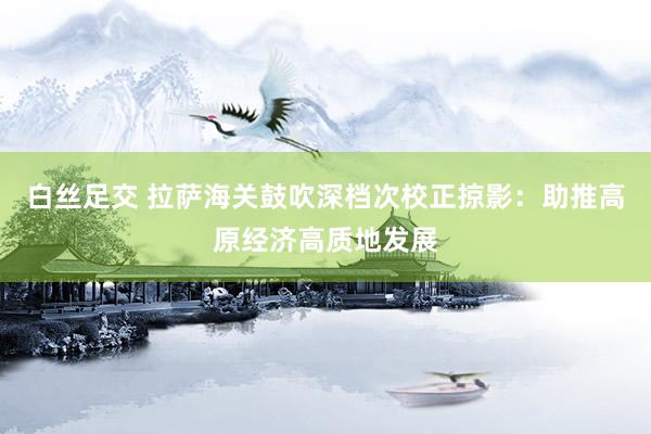 白丝足交 拉萨海关鼓吹深档次校正掠影：助推高原经济高质地发展