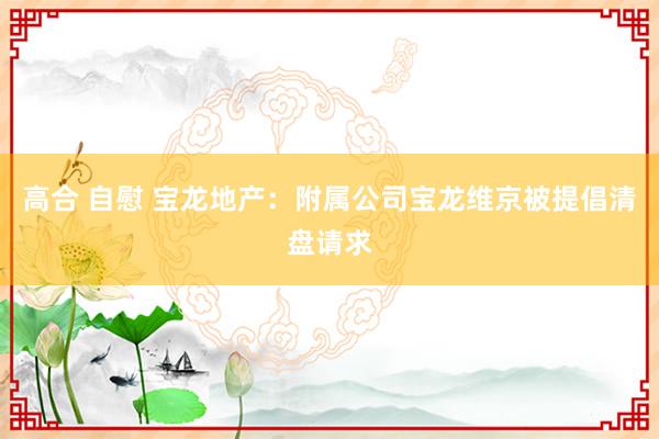 高合 自慰 宝龙地产：附属公司宝龙维京被提倡清盘请求