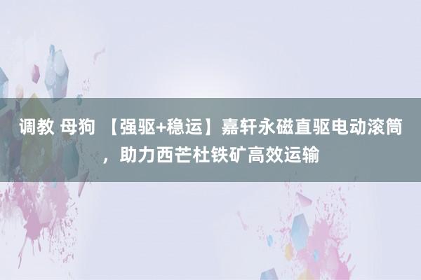 调教 母狗 【强驱+稳运】嘉轩永磁直驱电动滚筒，助力西芒杜铁矿高效运输