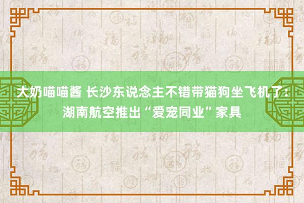 大奶喵喵酱 长沙东说念主不错带猫狗坐飞机了：湖南航空推出“爱宠同业”家具