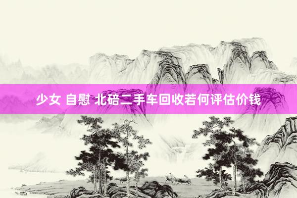 少女 自慰 北碚二手车回收若何评估价钱