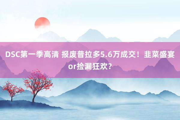 DSC第一季高清 报废普拉多5.6万成交！韭菜盛宴or捡漏狂欢？