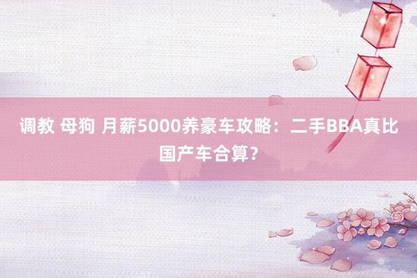 调教 母狗 月薪5000养豪车攻略：二手BBA真比国产车合算？