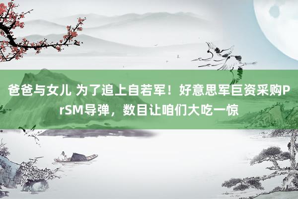 爸爸与女儿 为了追上自若军！好意思军巨资采购PrSM导弹，数目让咱们大吃一惊