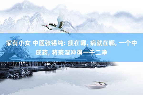家有小女 中医张锡纯: 痰在哪， 病就在哪， 一个中成药， 将痰湿冲得一干二净
