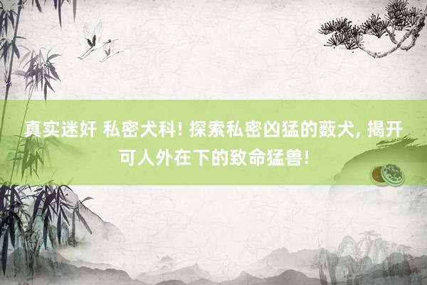 真实迷奸 私密犬科! 探索私密凶猛的薮犬， 揭开可人外在下的致命猛兽!