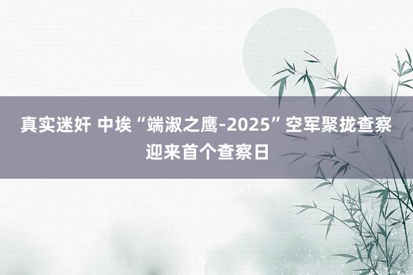 真实迷奸 中埃“端淑之鹰-2025”空军聚拢查察迎来首个查察日
