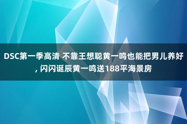 DSC第一季高清 不靠王想聪黄一鸣也能把男儿养好， 闪闪诞辰黄一鸣送188平海景房
