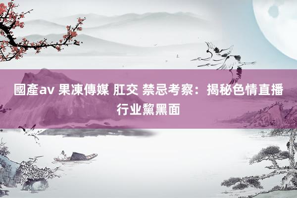 國產av 果凍傳媒 肛交 禁忌考察：揭秘色情直播行业黧黑面