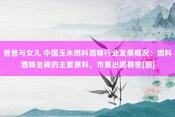 爸爸与女儿 中国玉米燃料酒精行业发展概况：燃料酒精坐褥的主要原料，市集出路稠密[图]