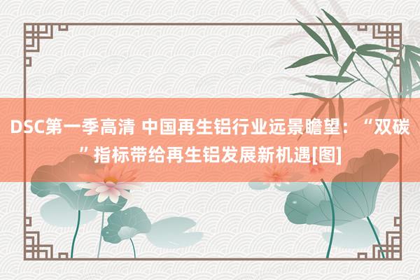 DSC第一季高清 中国再生铝行业远景瞻望：“双碳”指标带给再生铝发展新机遇[图]