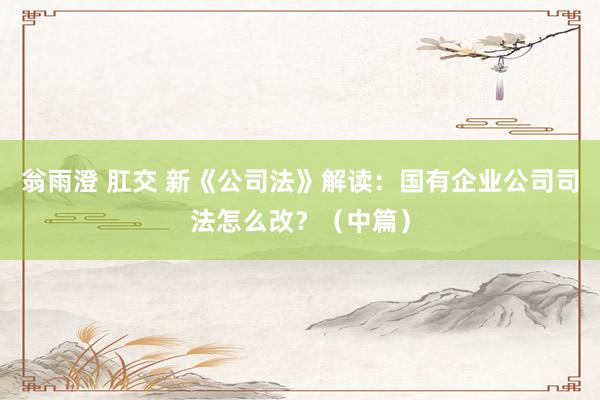 翁雨澄 肛交 新《公司法》解读：国有企业公司司法怎么改？（中篇）