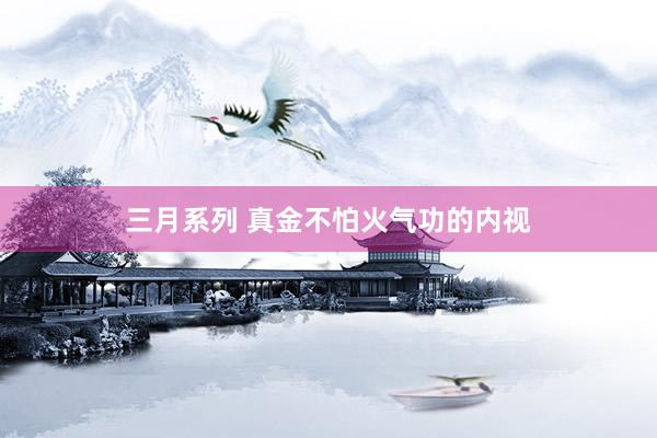 三月系列 真金不怕火气功的内视