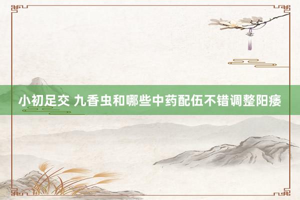 小初足交 九香虫和哪些中药配伍不错调整阳痿
