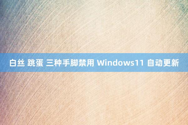 白丝 跳蛋 三种手脚禁用 Windows11 自动更新