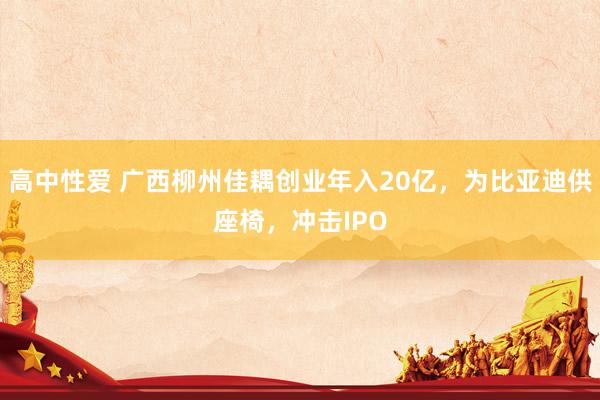 高中性爱 广西柳州佳耦创业年入20亿，为比亚迪供座椅，冲击IPO