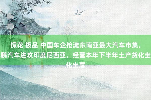 探花 极品 中国车企抢滩东南亚最大汽车市集，小鹏汽车进攻印度尼西亚，经营本年下半年土产货化坐蓐